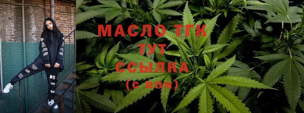 мдпв Верхний Тагил